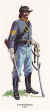 Cavalryman (138436 bytes)